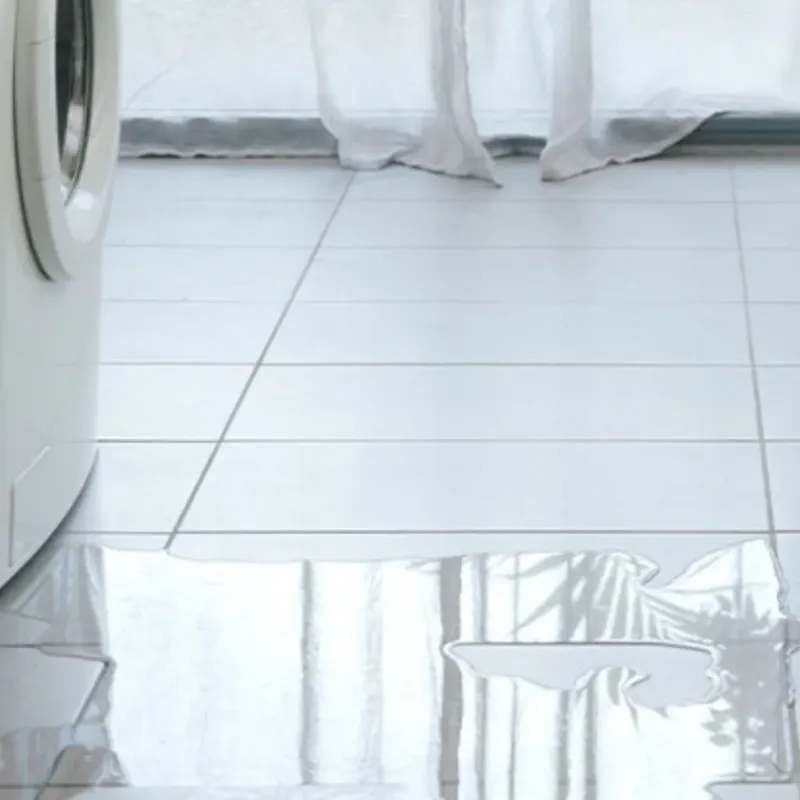 Appliance Leak Cleanup in Dunedin, FL
