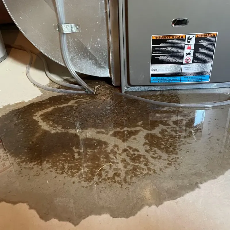Pipe Burst and Leak Restoration in Dunedin, FL